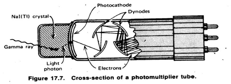 1332_Photomultiplier tube(PTM).png